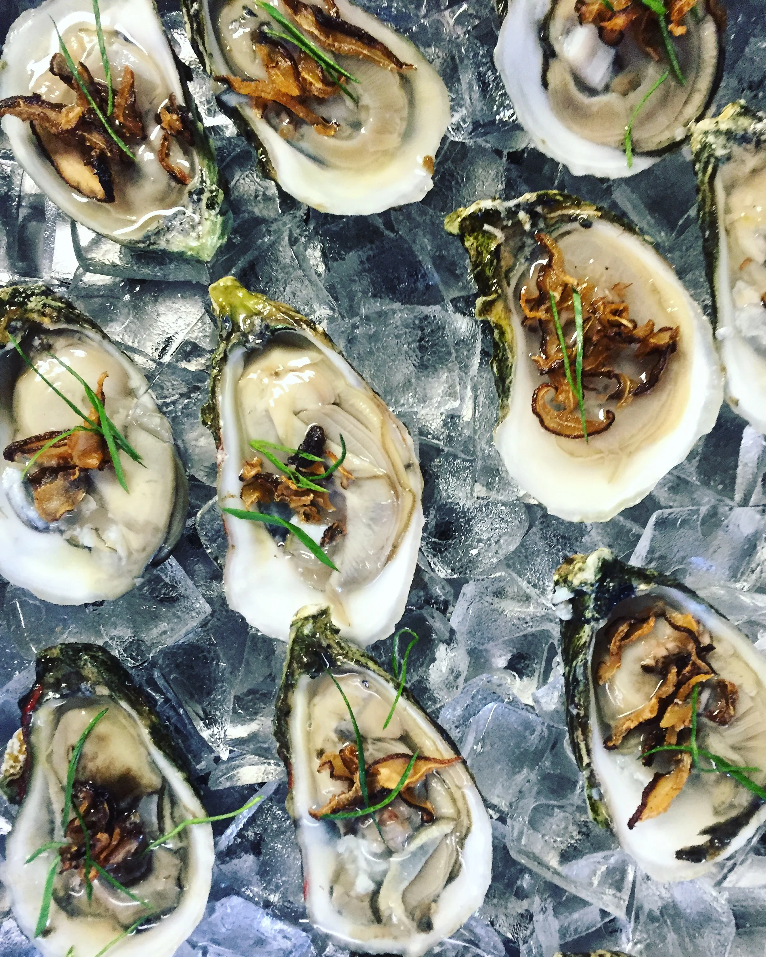 Shiitake Oysters at Bolete//Bethlehem, PA 