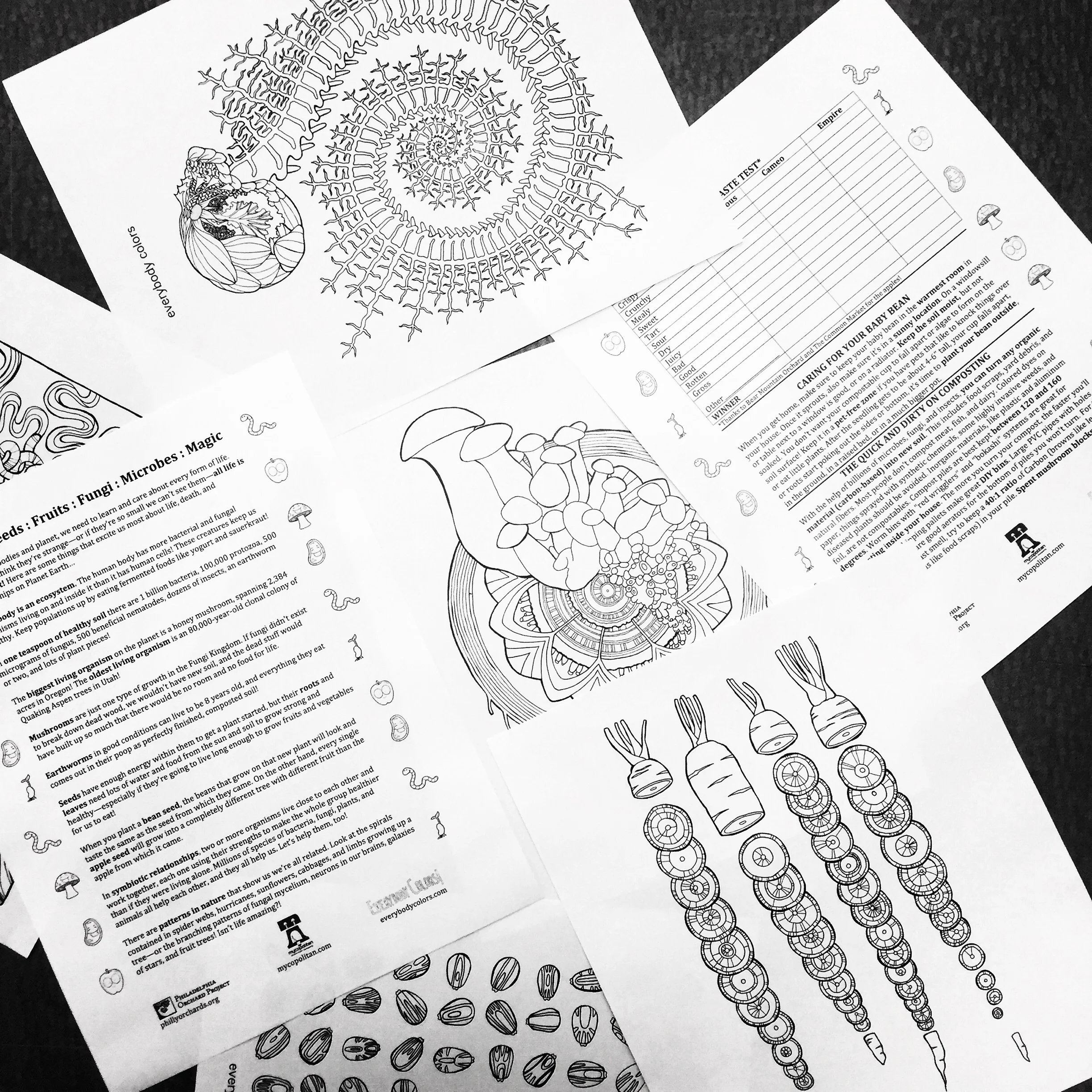 Worksheets for the Kids Corral by Philly Orchard Project and Everybody Colors 