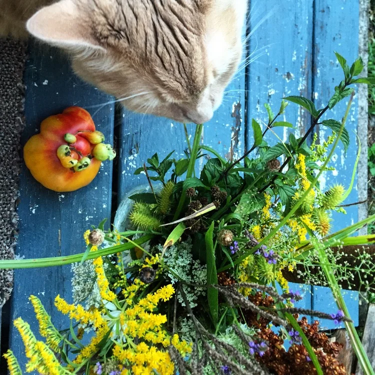 Kitty Flowers// Cortland, New York
