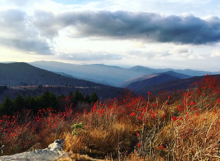 The Blue Ridge//Blue Ridge Parkway, North Carolina 