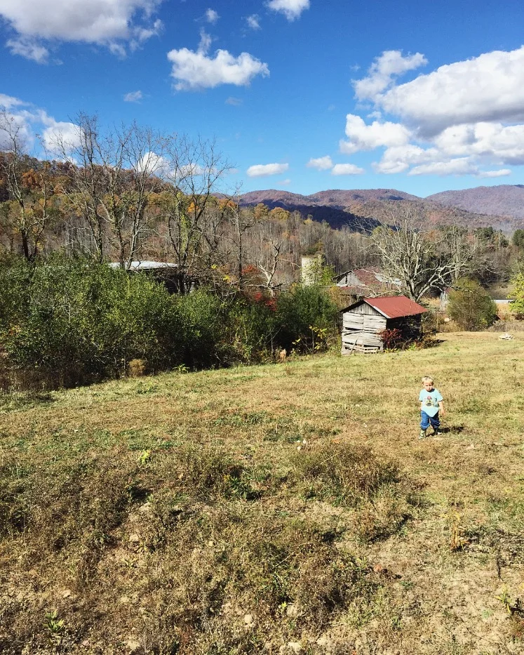 Little Man on his Big Farm// Sandy Mush, North Carolina 