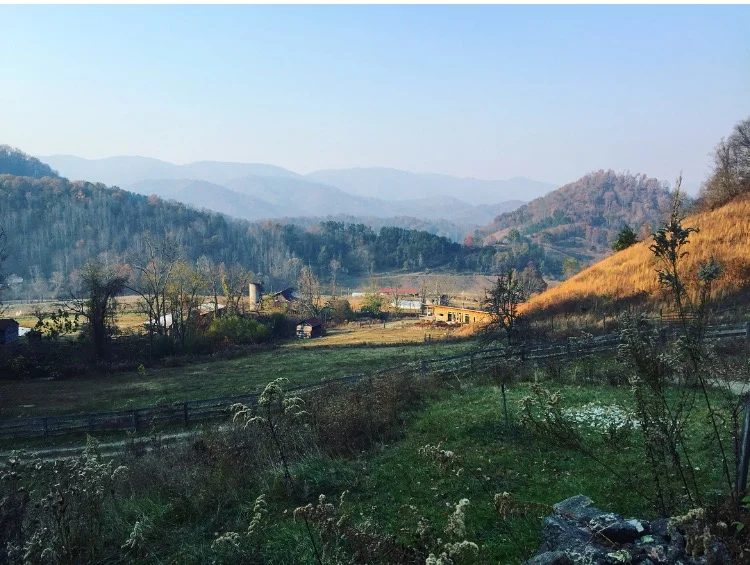 Farm View// Sandy Mush, North Carolina