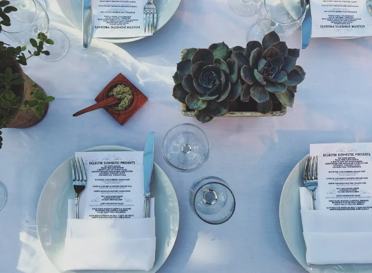 Succulent Dreams//Kintnersville, Pennsylvania