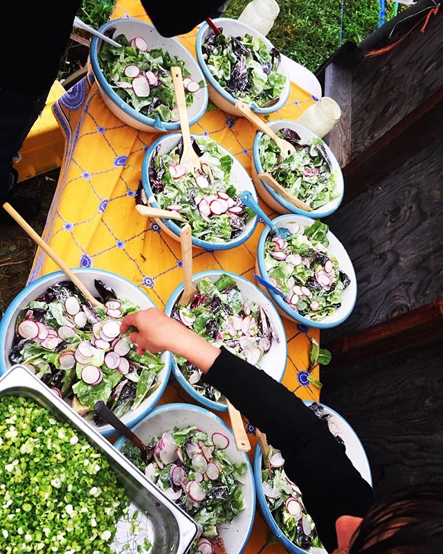 The first annual full moon feast @greatsongfarm nearly made my heart explode. I got to spend the week on the farm preparing for the feast and got to work with so many kind souls to create a spectacular dinner. Emily and Maggie grow some of the most s