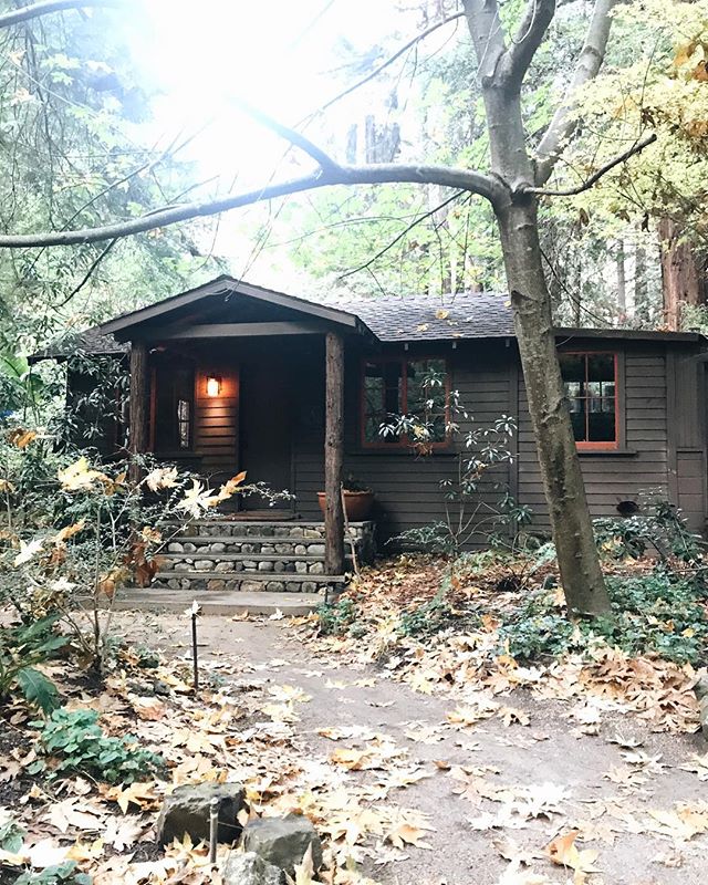 Good Morning from our little cabin in the woods!🌲 @glenoaksbigsur