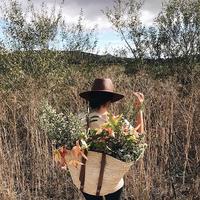 Currently making tea and looking through all of our road trip photos from last week. I don&rsquo;t think I can put into words how much I love Fall. 🌾🍂🌻#veronicawanders #seasonslikethese #veronicavalenciahome