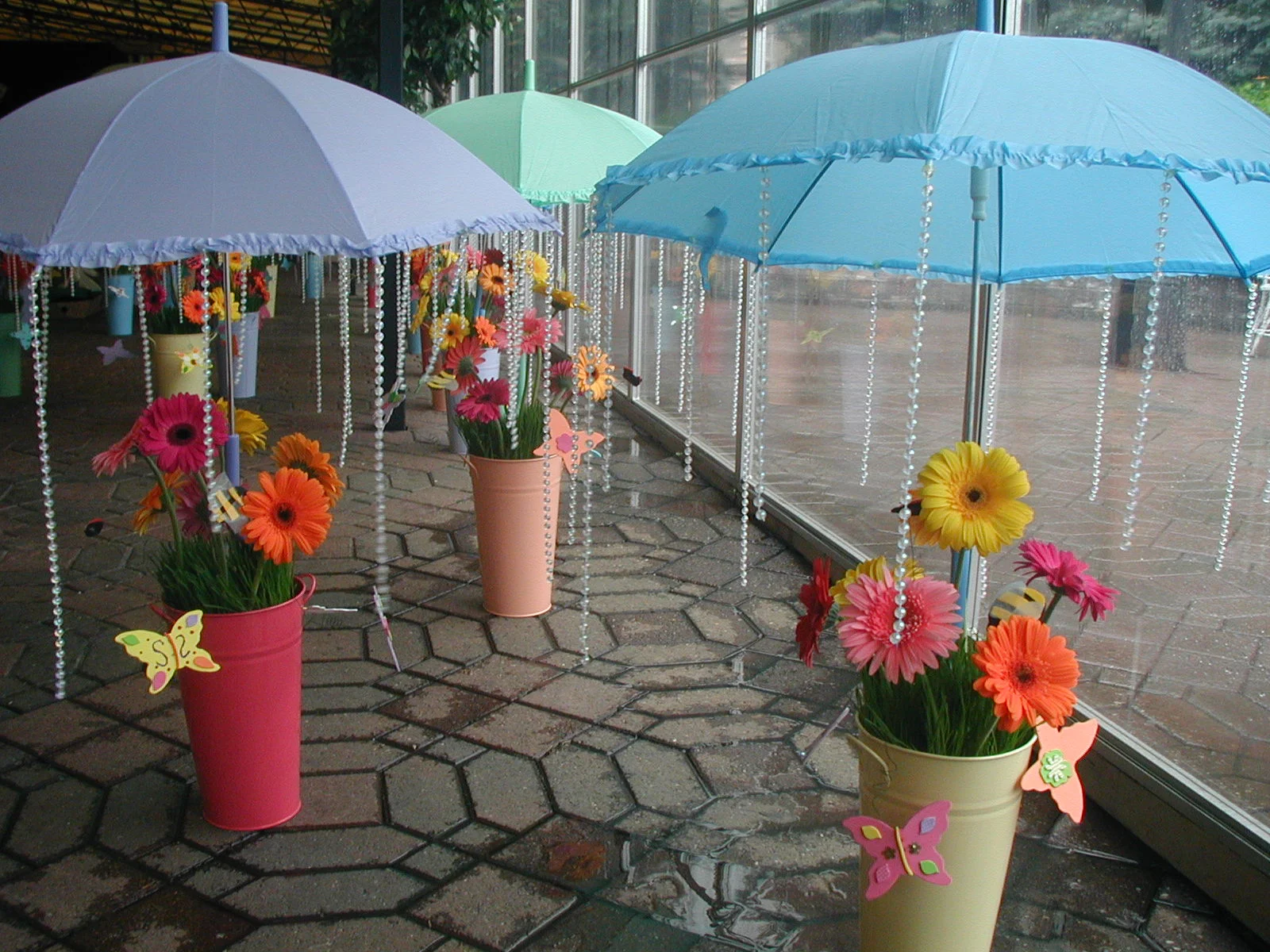 P1010004.jpg