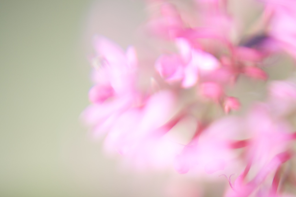 _MG_8565.jpg
