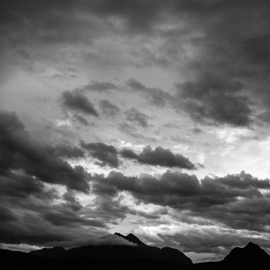 IMG_8028.jpg