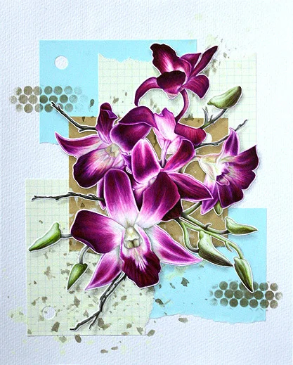 Orchid Collage