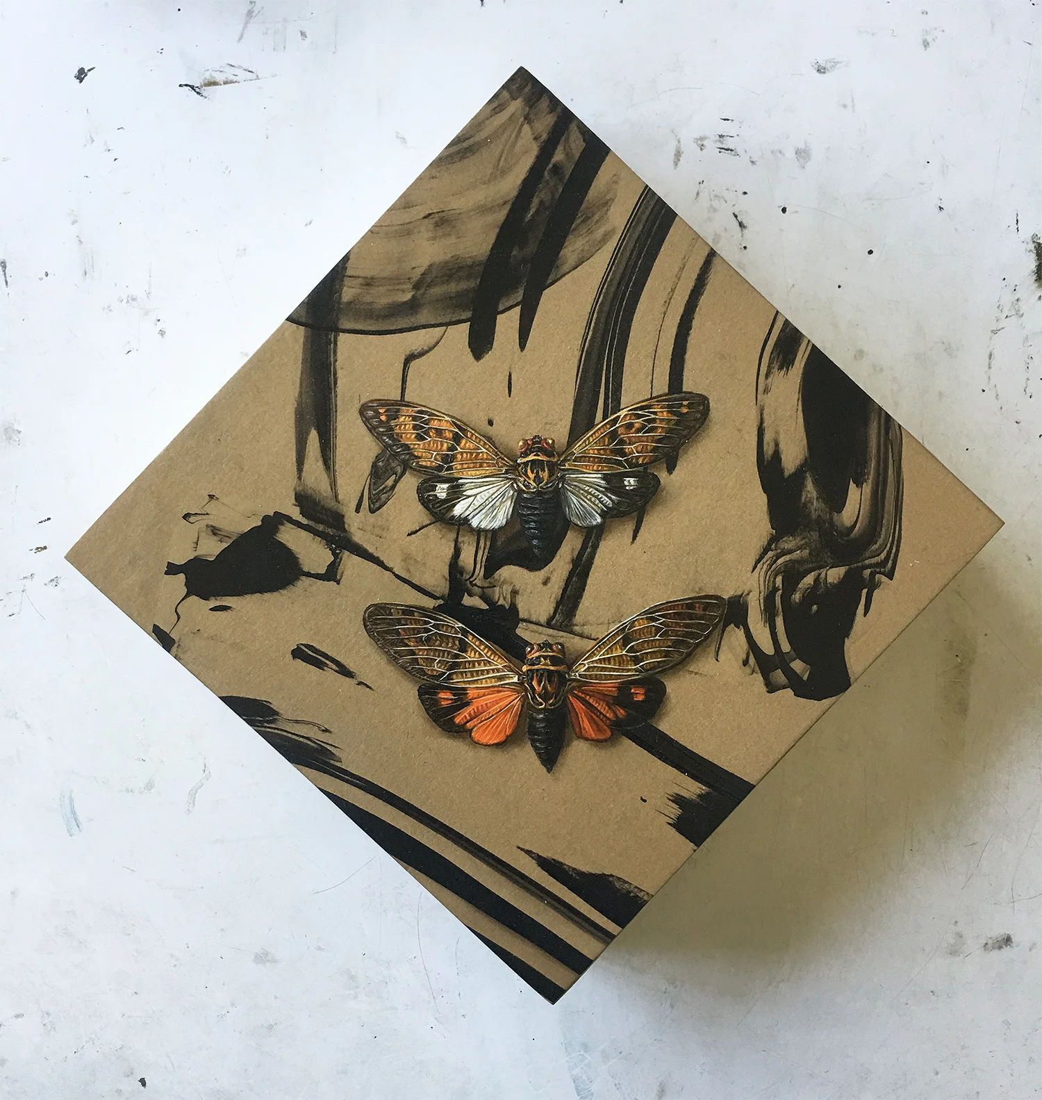 20-Cicadas4.jpg