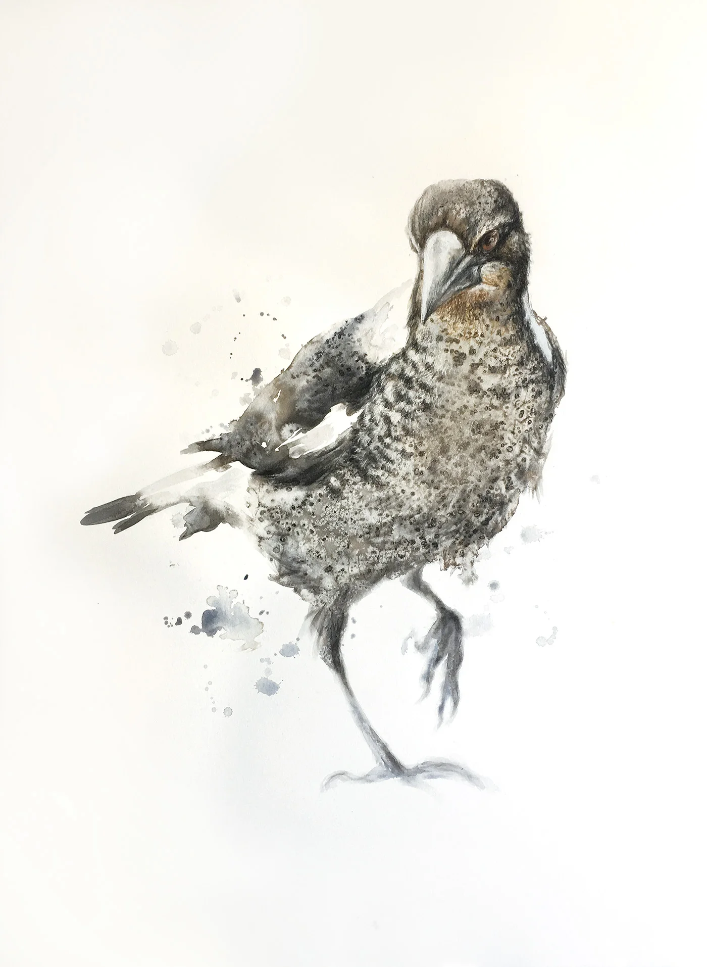 07-Magpie.jpg