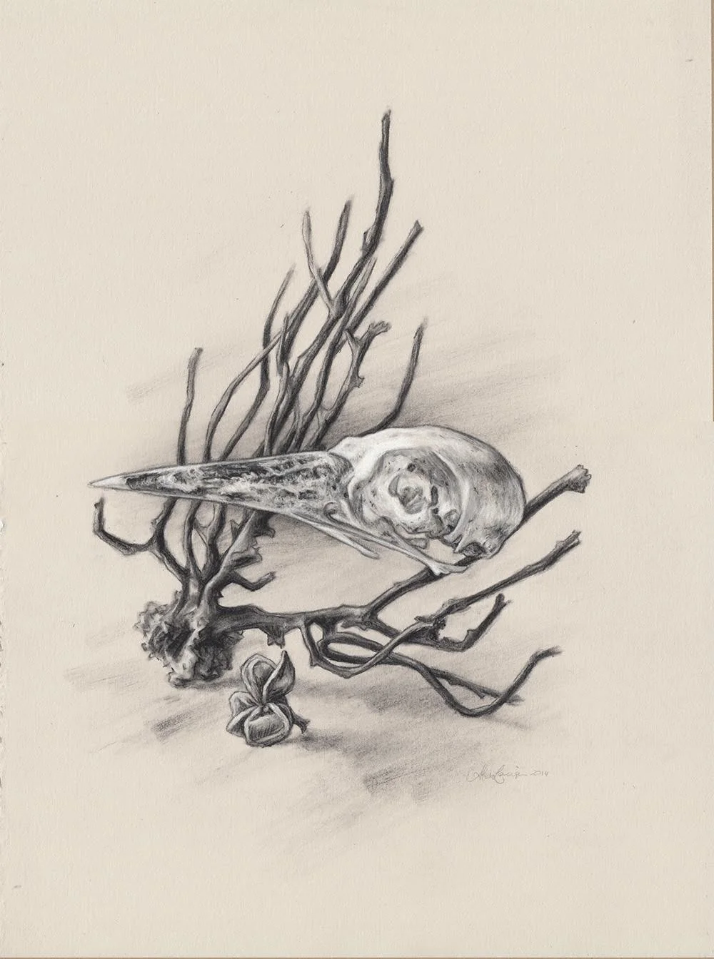 17-StillLifeSkull.jpg