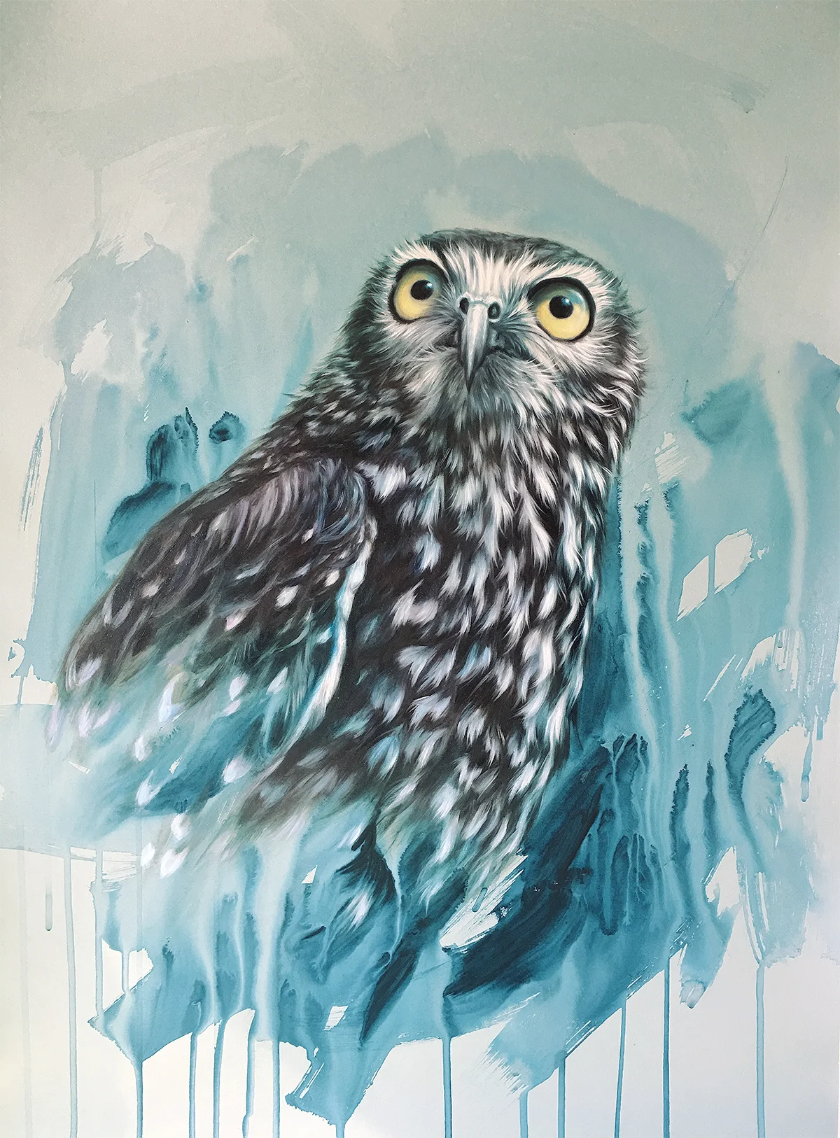 BarkingOwl.jpg