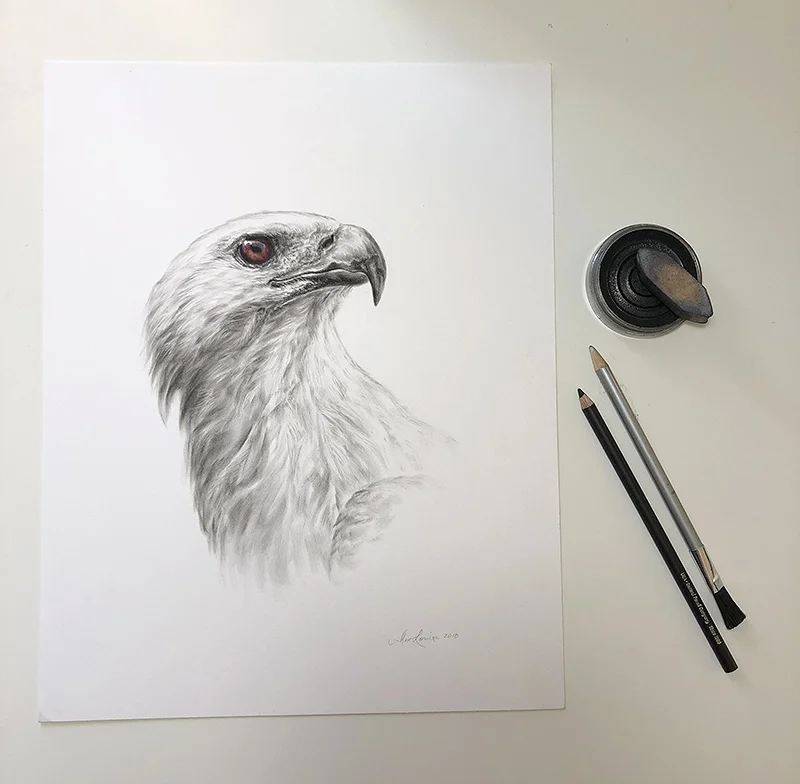 Ch-SeaEagle-1.jpg