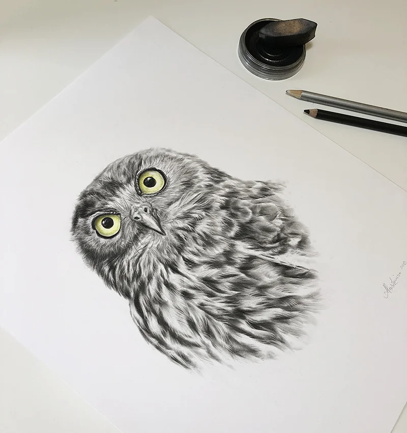Ch-BarkingOwl-2.jpg