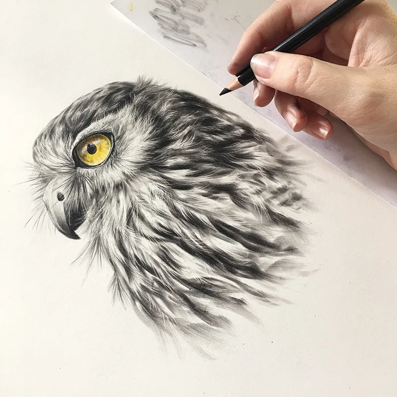 Ch-BarkingOwl1-2.jpg
