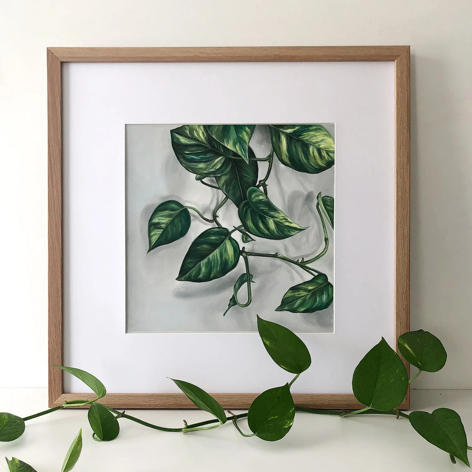 Pothos-2-c.jpg