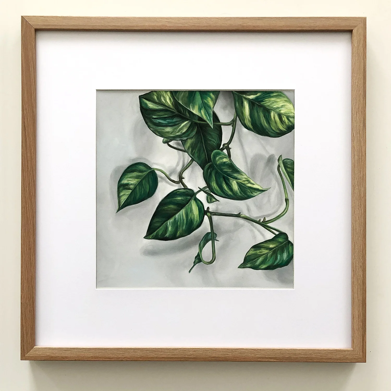 Pothos-2-d.jpg