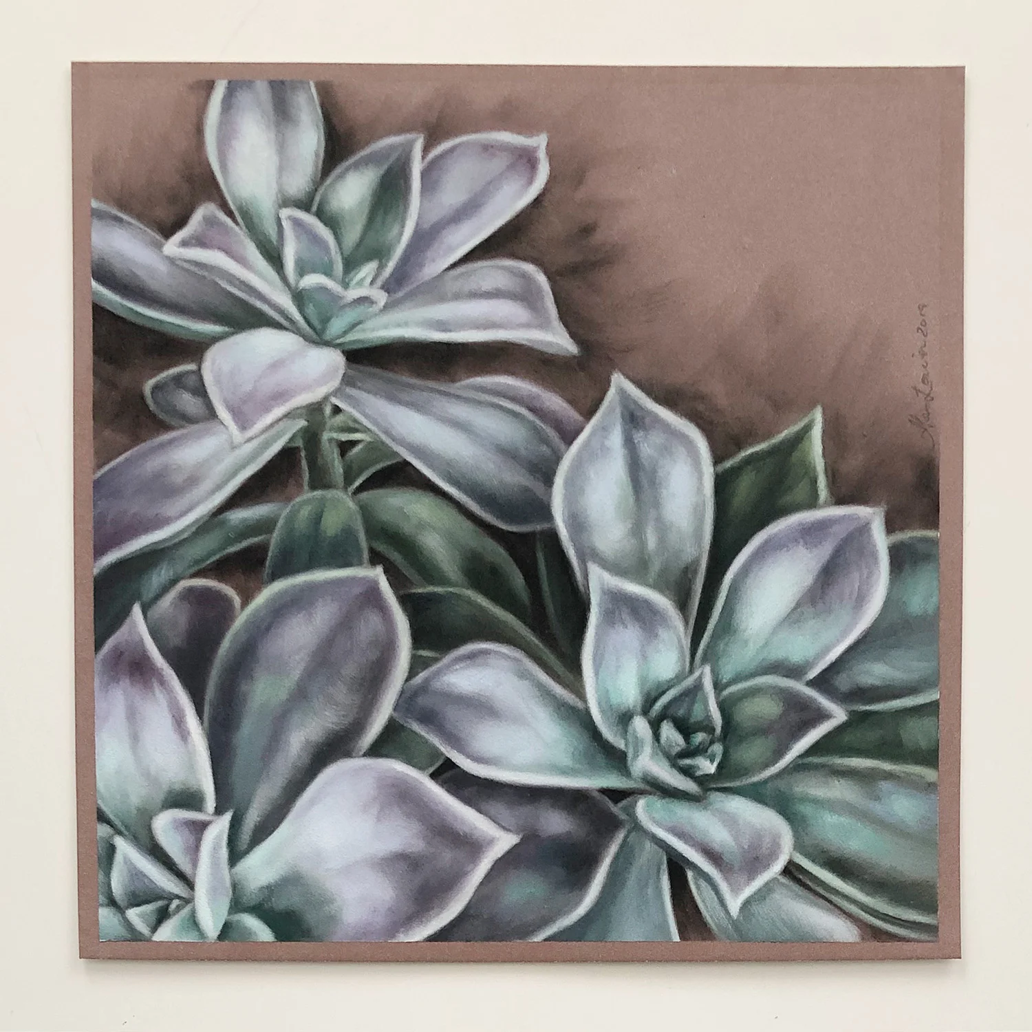 Succulents-1-a.jpg