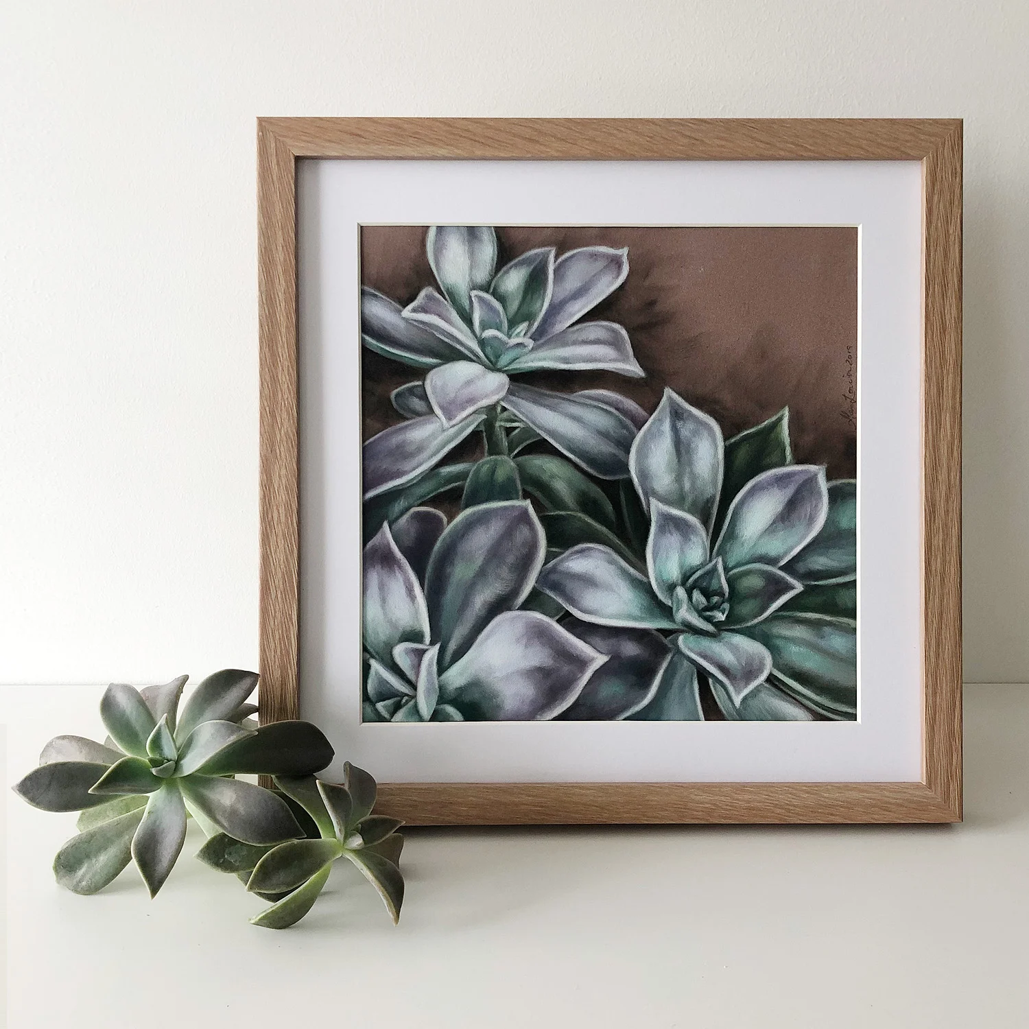Succulents-1-b.jpg