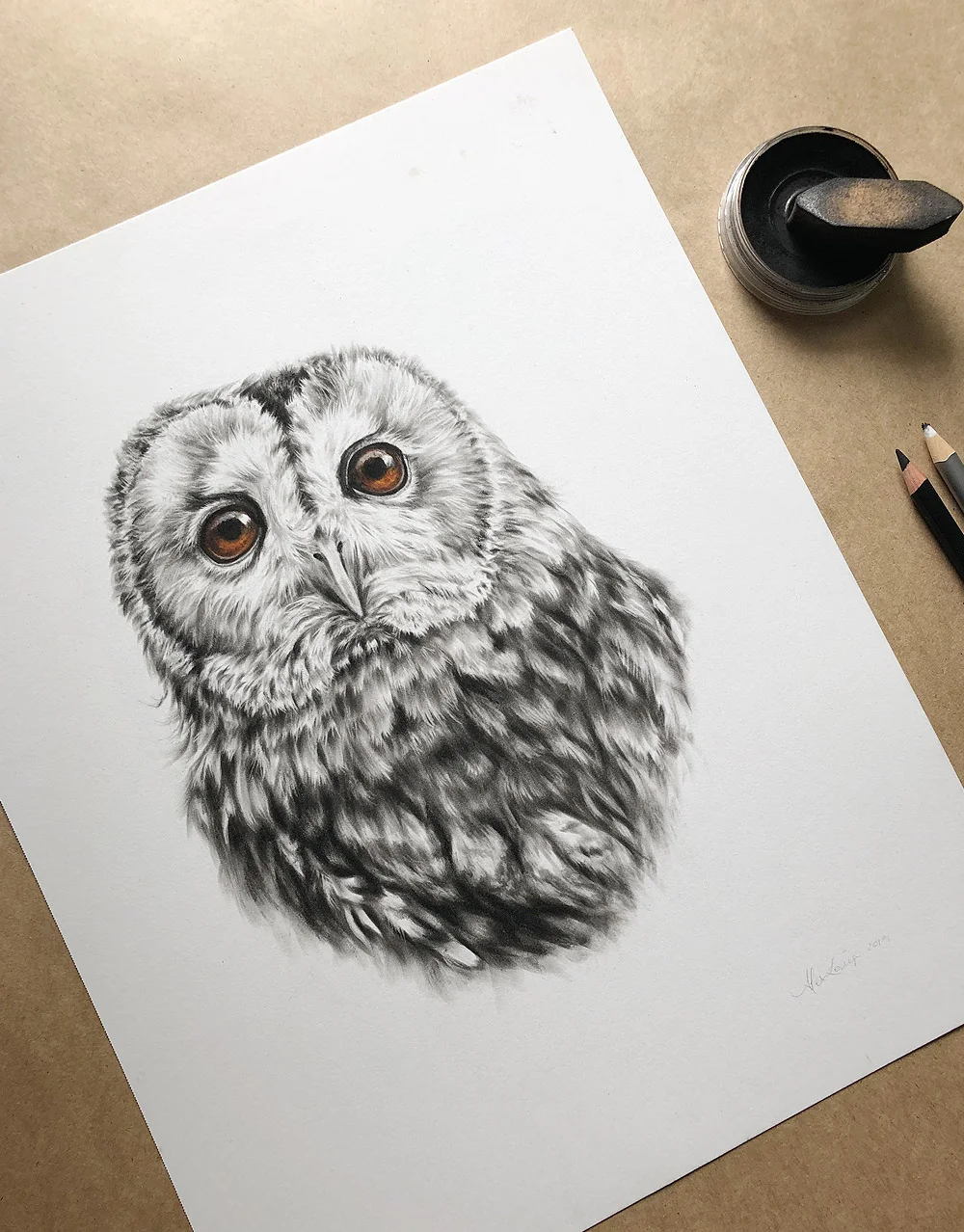 Ch-TawnyOwl-1.jpg