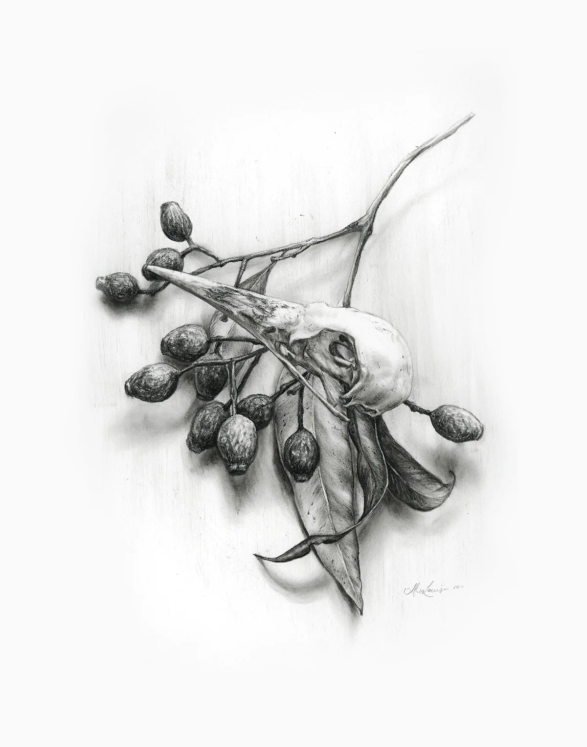 Fragments (Study)_Alex Louisa_Charcoal on paper.jpg