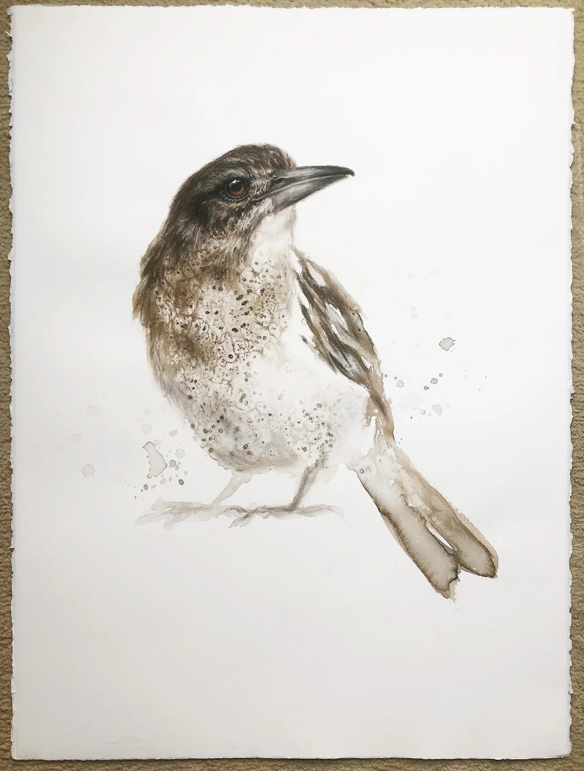 Butcherbird-Alex-Louisa-1.jpg