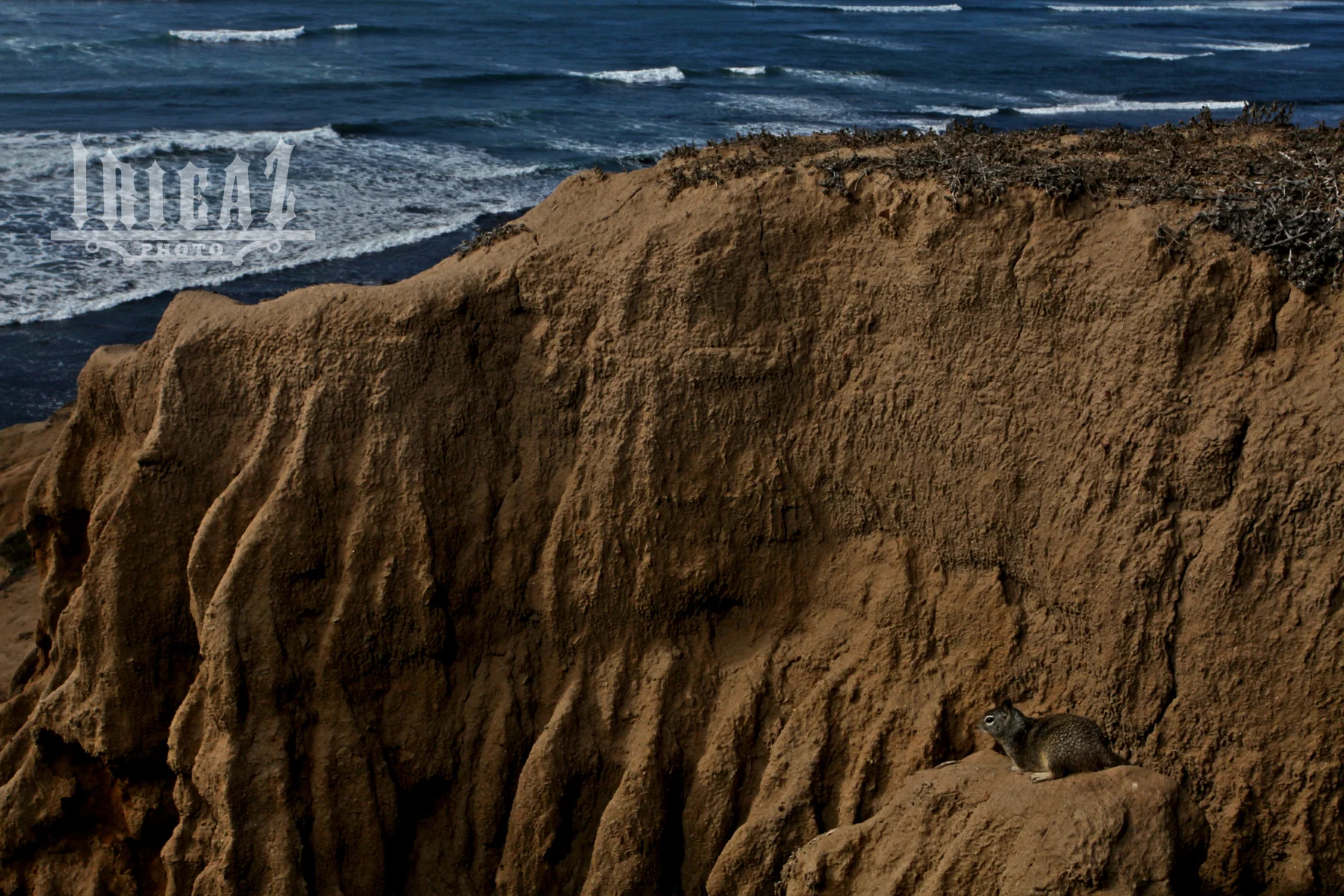 cliffs irie.jpg