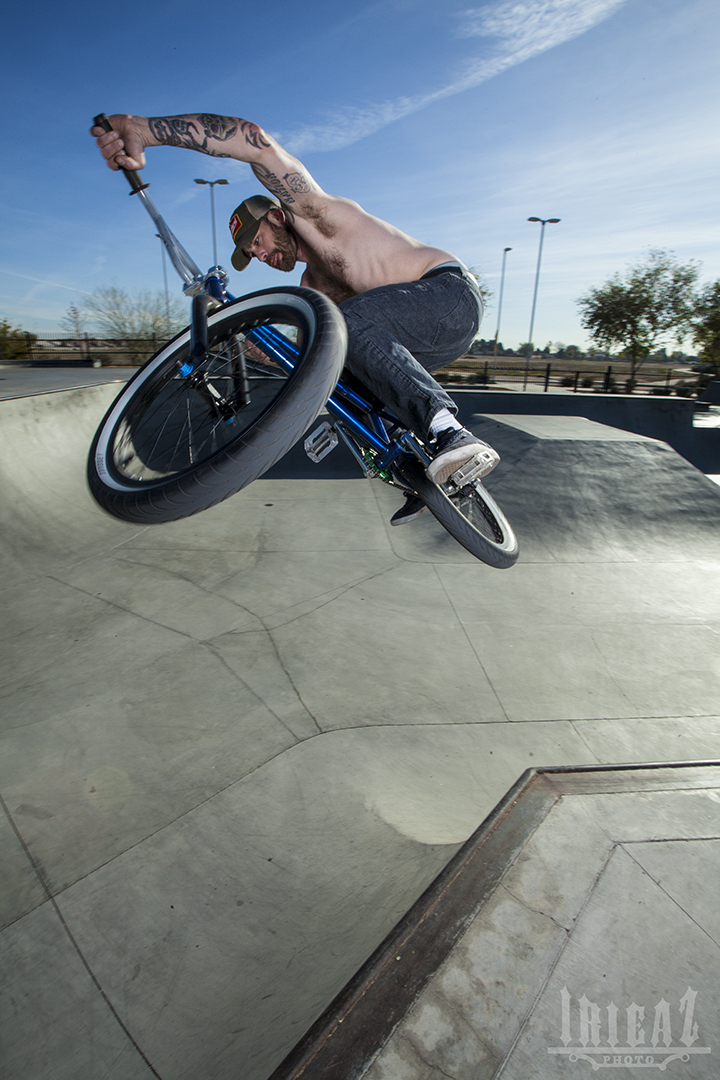 shred web .jpg