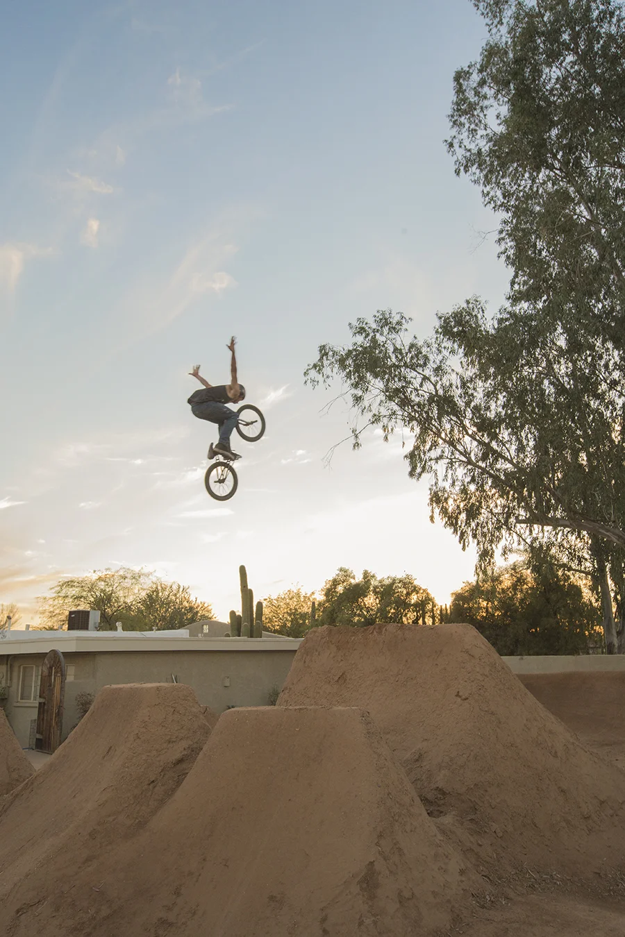 bmx no hands web.jpg