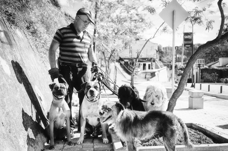 WILSON AND HIS RESCUE DOGS, GUAPULO