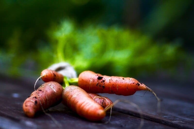 Carrot சம்பல்⁣
⁣
Combine and serve (enough for 4)
⁣
3 🥕grated⁣
1/2 medium sized red onion finely chopped
1 tsp fresh ginger finely grated⁣
sliced green/red 🌶️
salt and pepper to taste⁣
1 cup yoghurt (or not)⁣
1 🍅 cubed

#mytamilkitchen #gardenvege