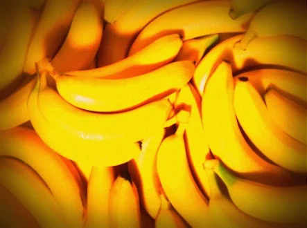 bananas.jpg