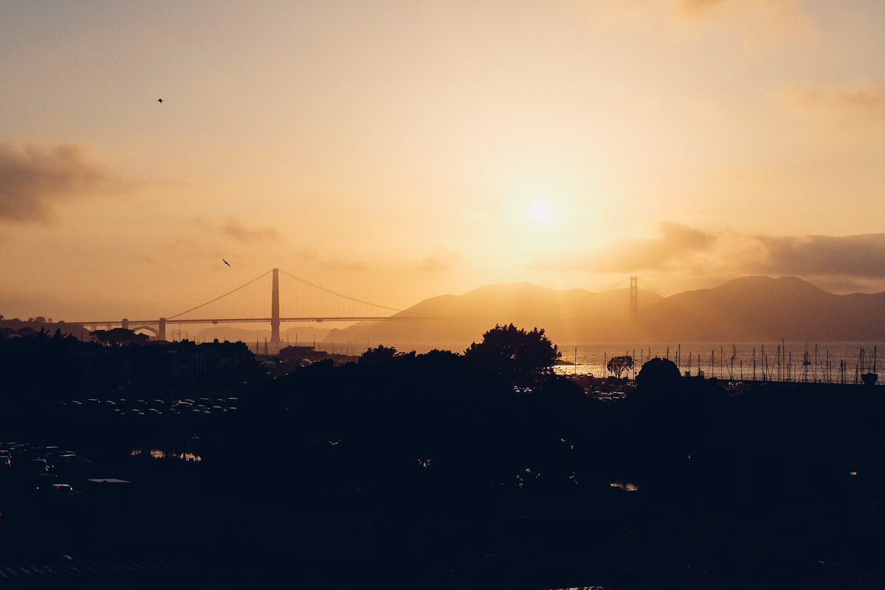 This image is cropped in at 150% since I was constrained by the lens