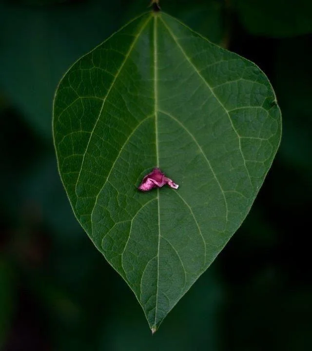 hint4.jpg