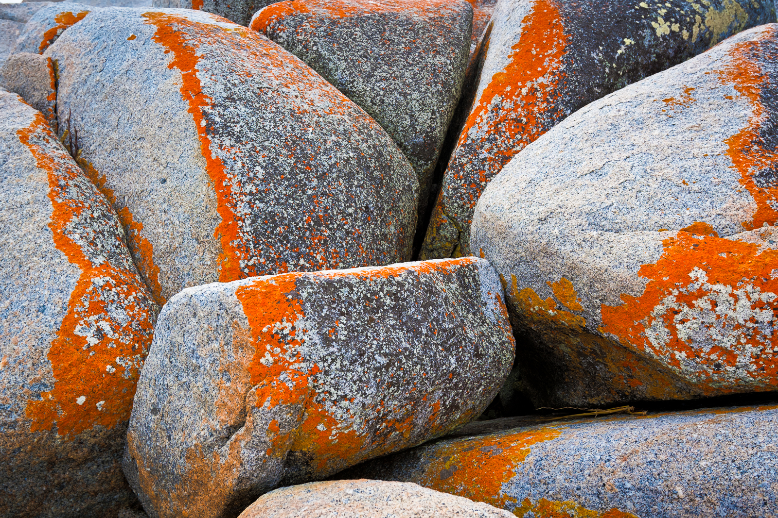 Boulders at Bay of Fires, Tasmania