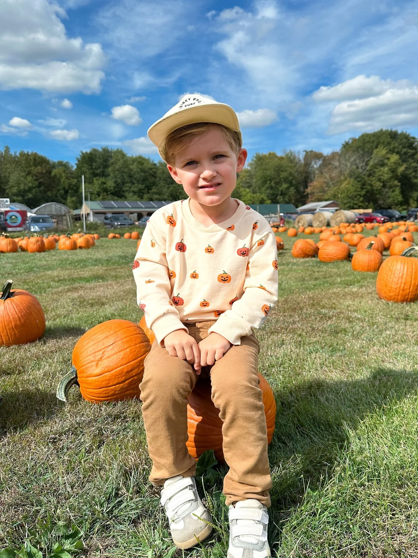 Pumpkin EVERYTHING 🎃🧡