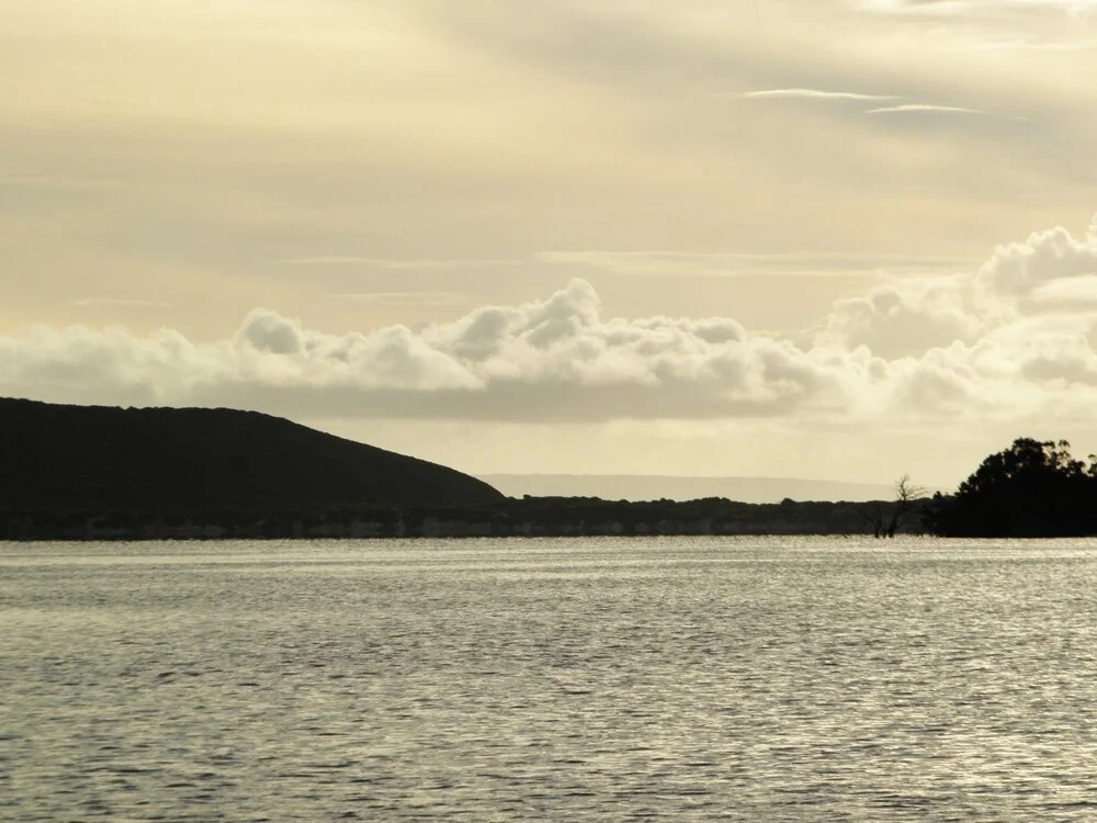 PA290218.JPG