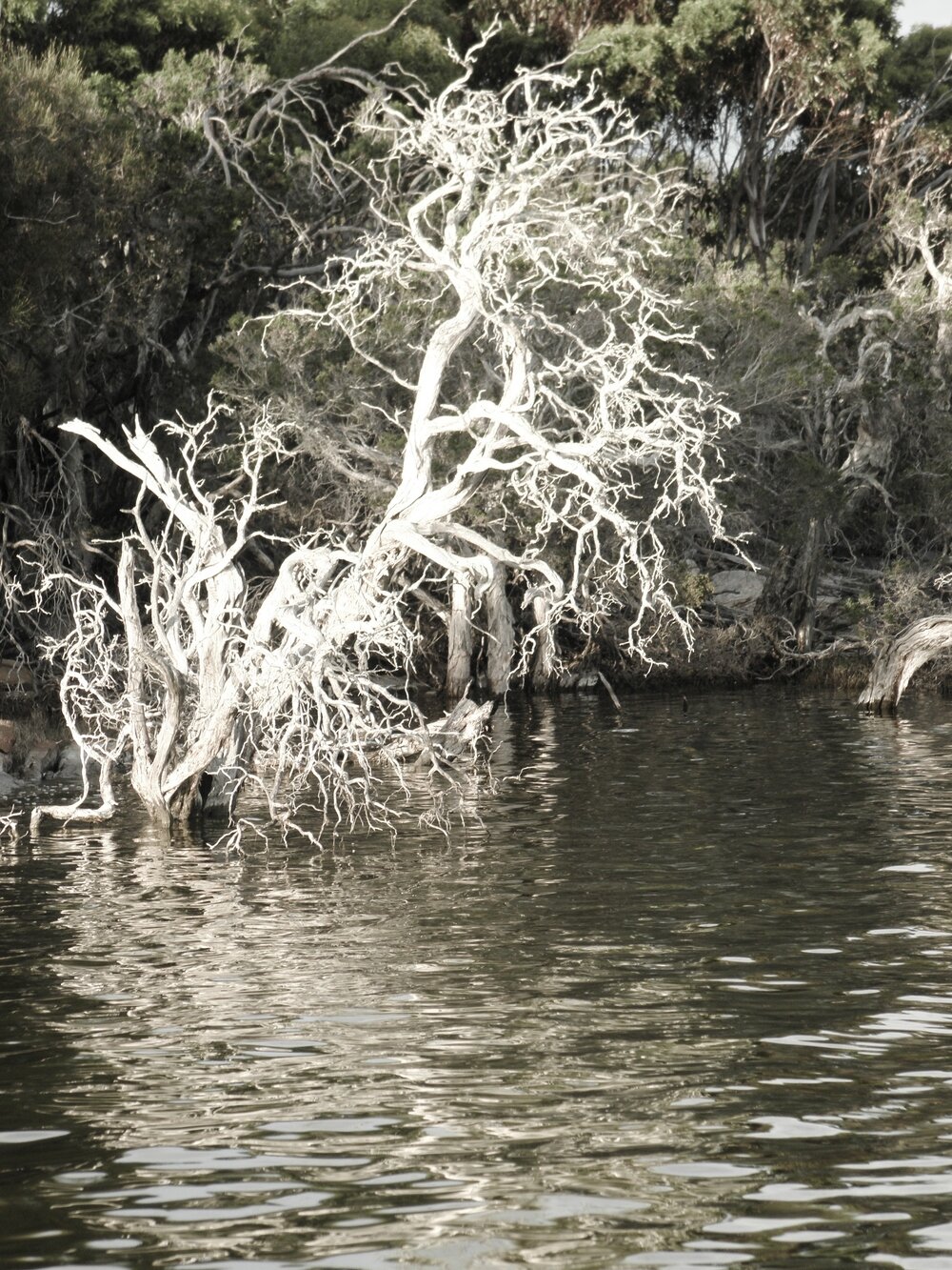 PA290184.JPG