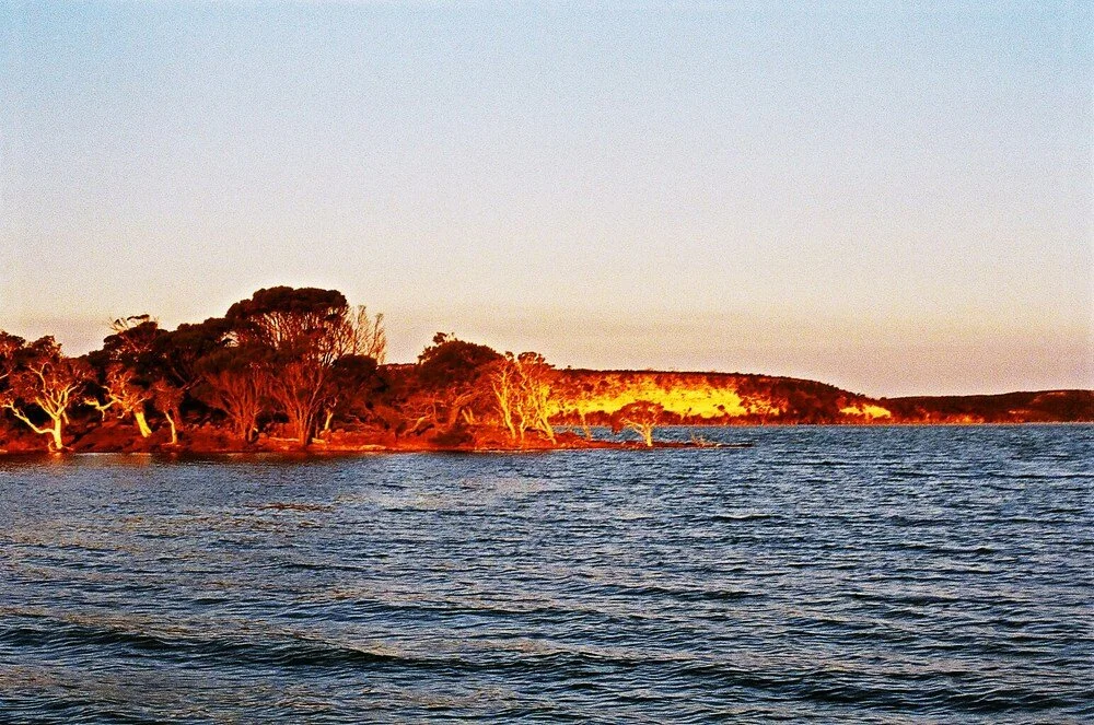 02270010.JPG