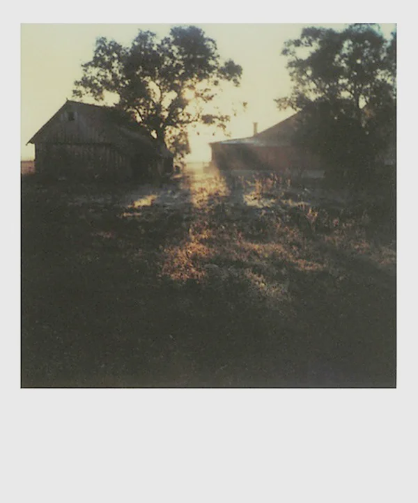 tarkovsky-polaroids-dom-v-derevnye.jpg