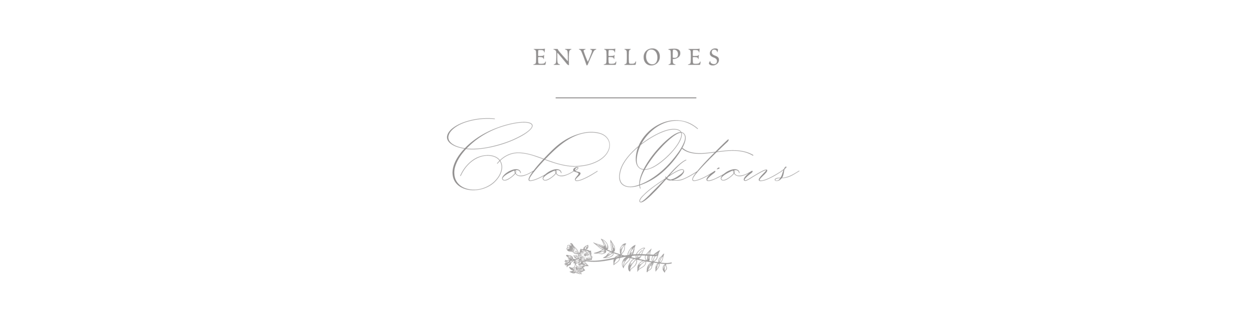 Envelopes-Options.png