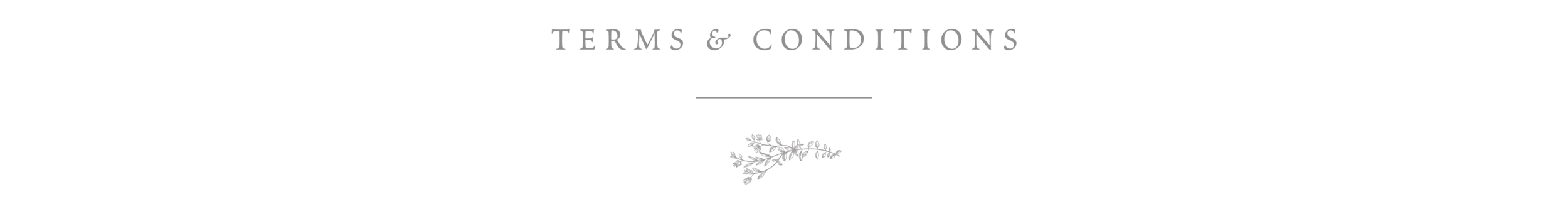 Terms Header.png