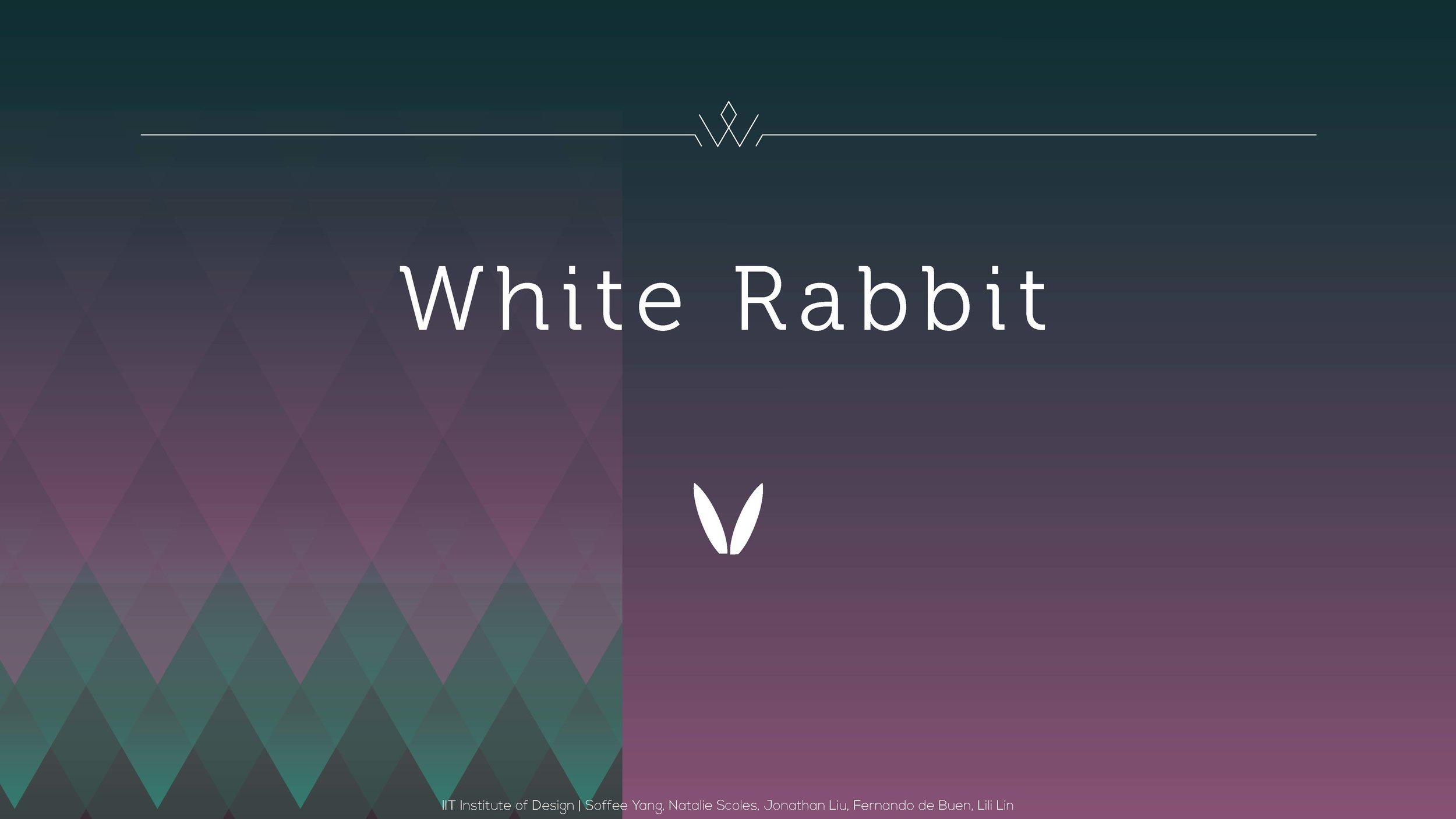 white rabbit_Page_01.jpg