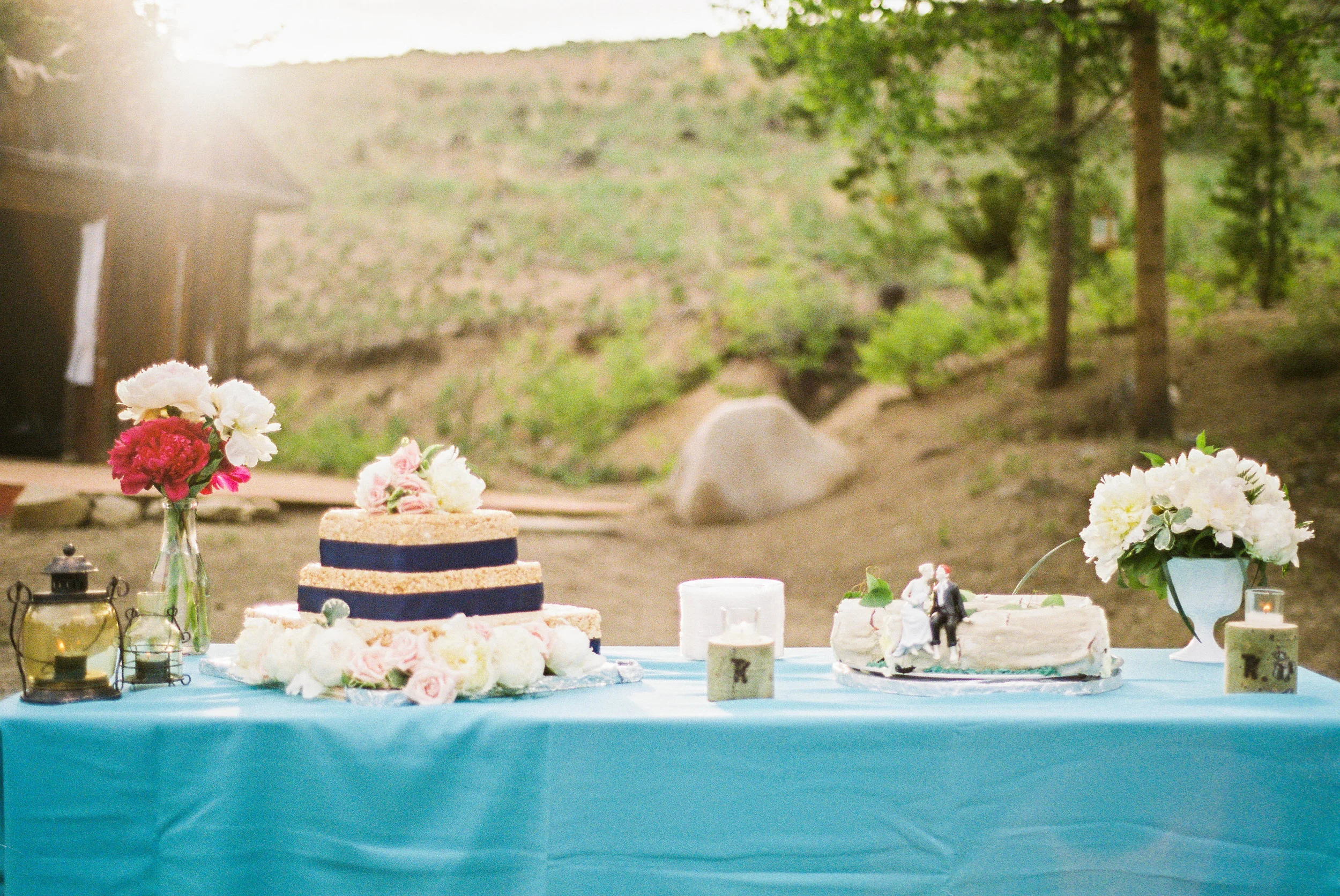 Cake Table.jpg