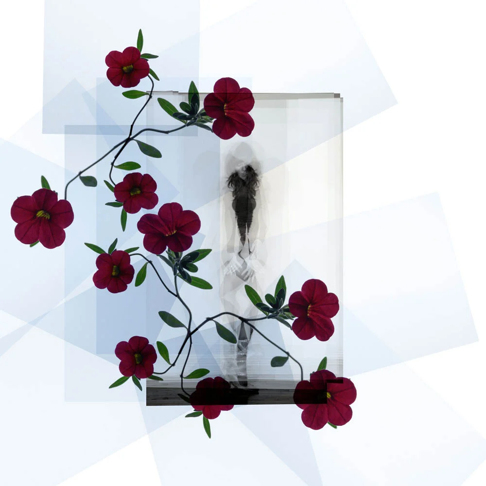 écuries_01b copy.JPG