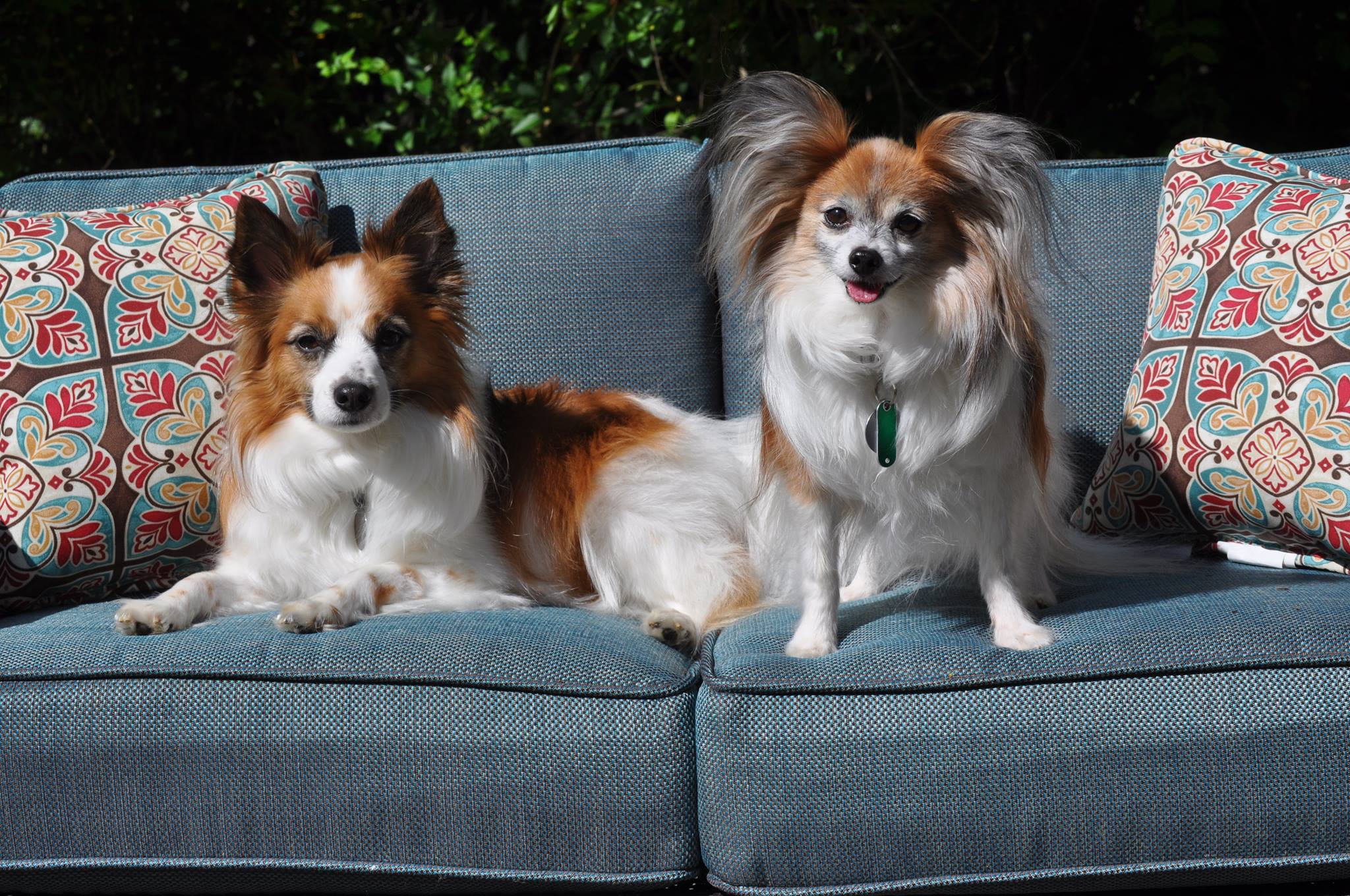 Original reference photo