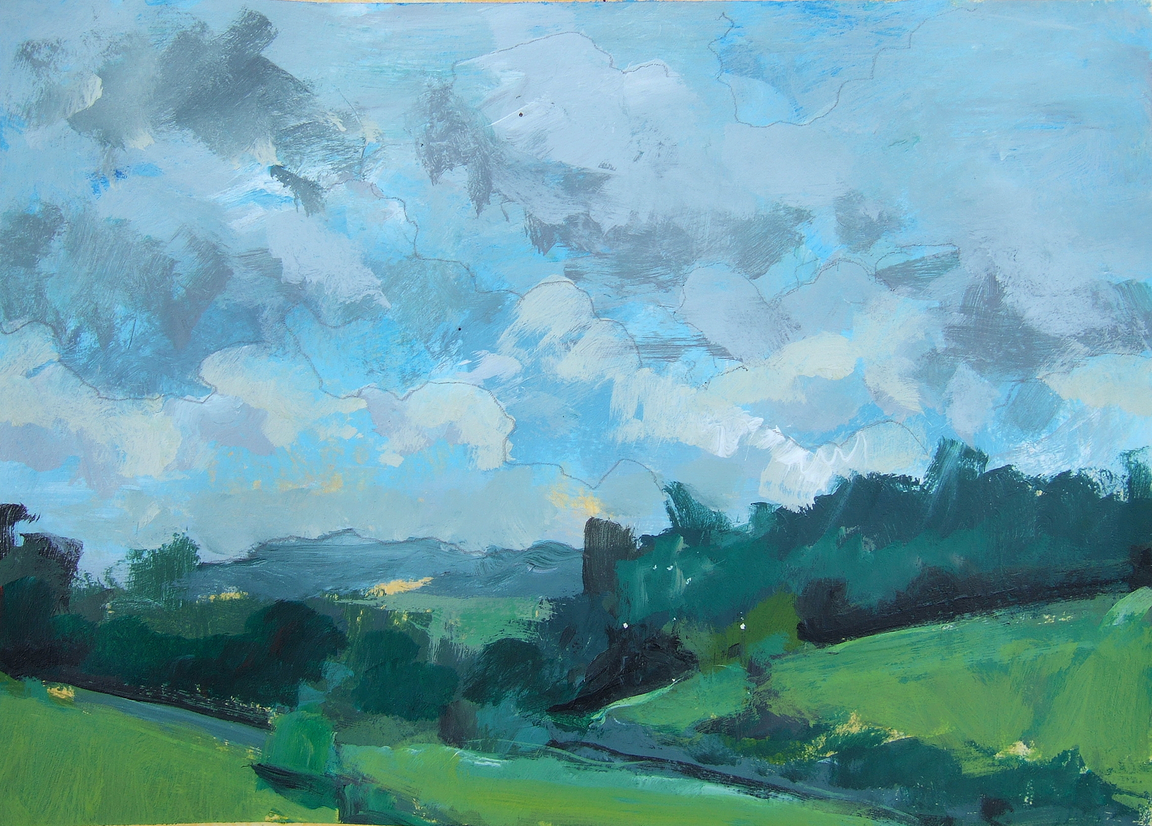 the plains, va acrylic and graphite on paper 7 x 9.5" sold