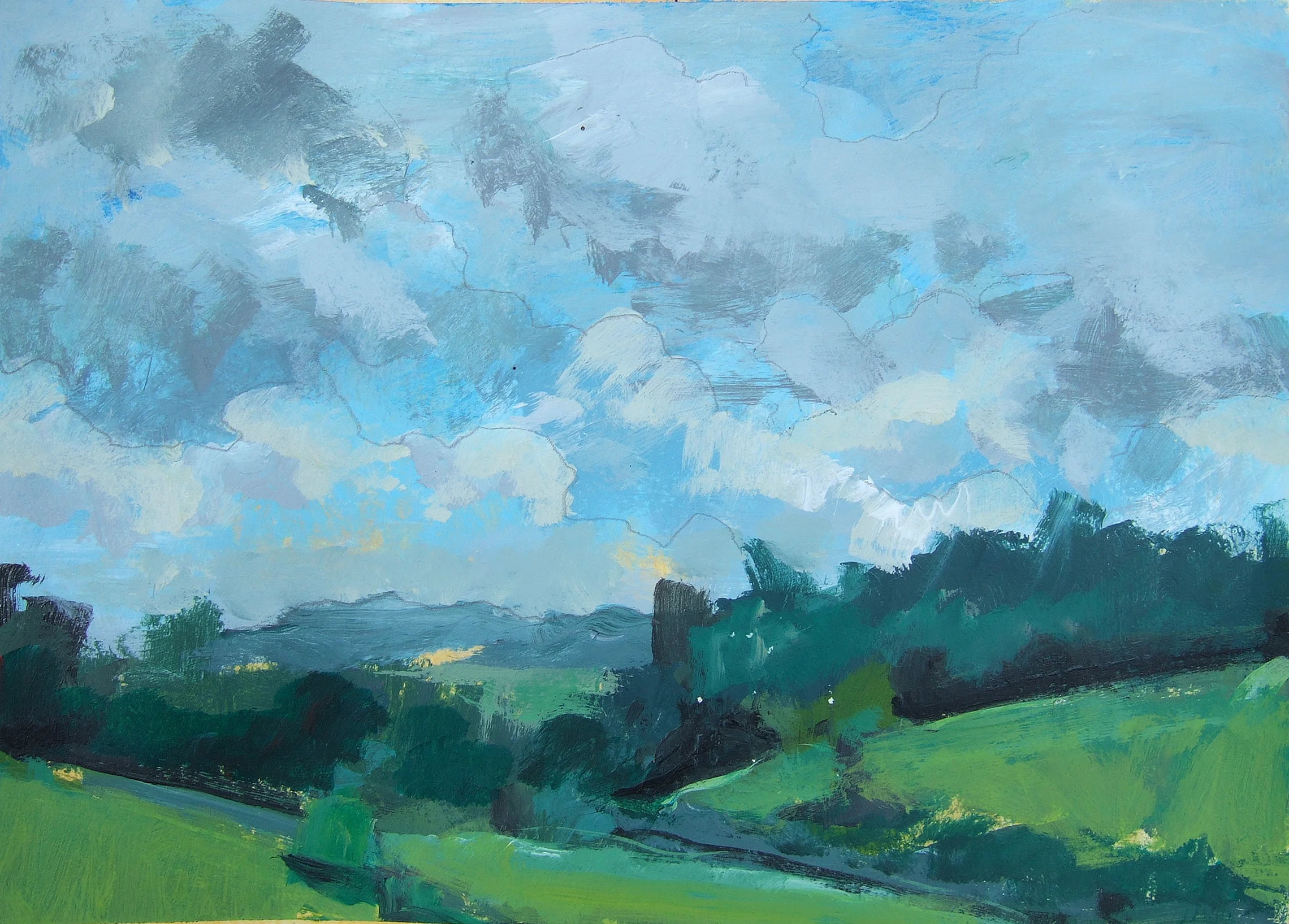 the plains, va acrylic and graphite on paper 7 x 9.5" sold
